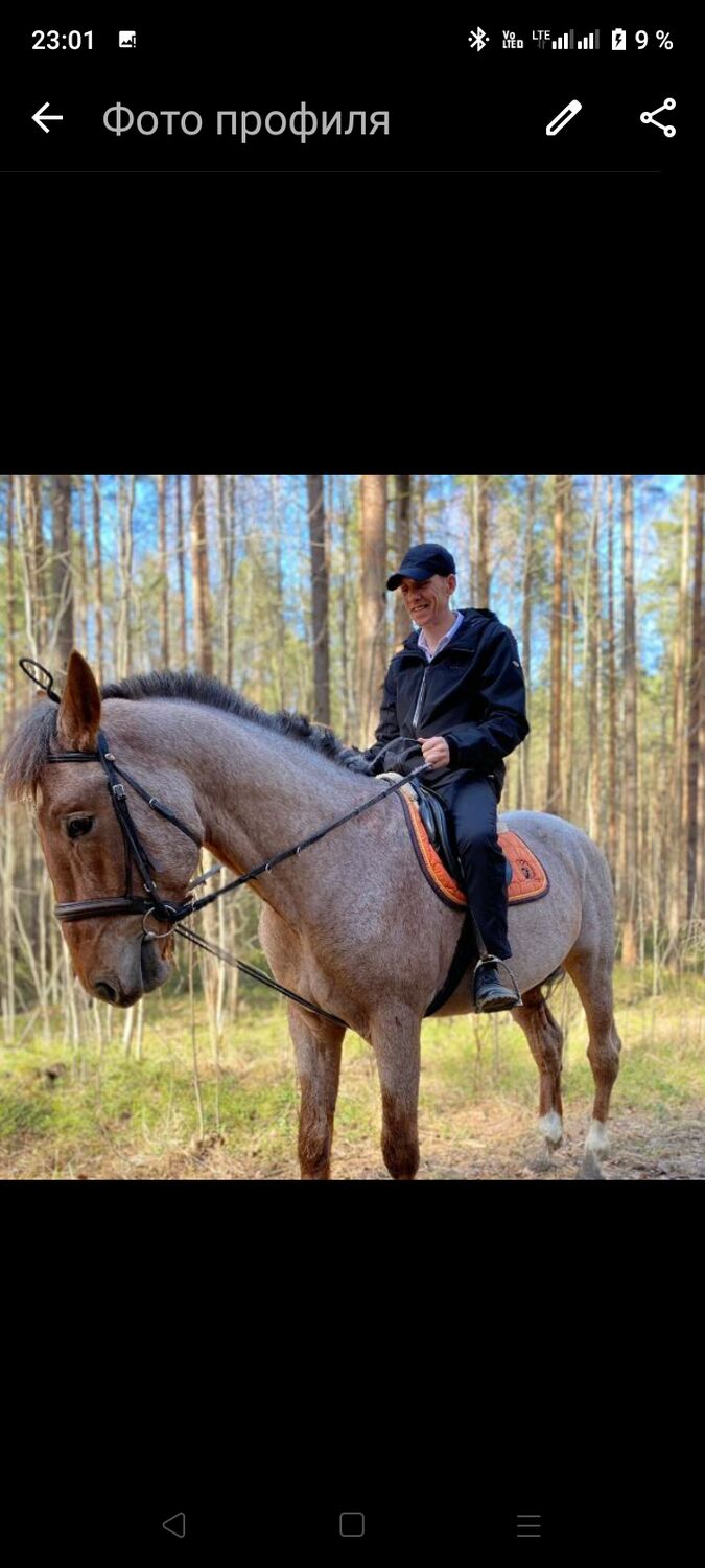 ���� 44730954 ������� �������, 44 ����, ���� ���������� � �����-����������