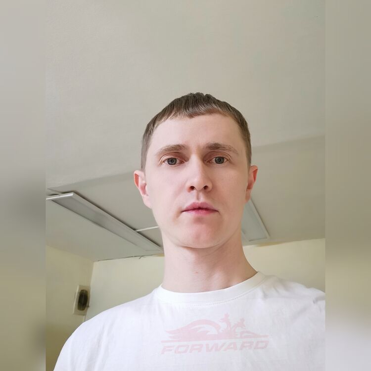  40845844  , 36 ,    