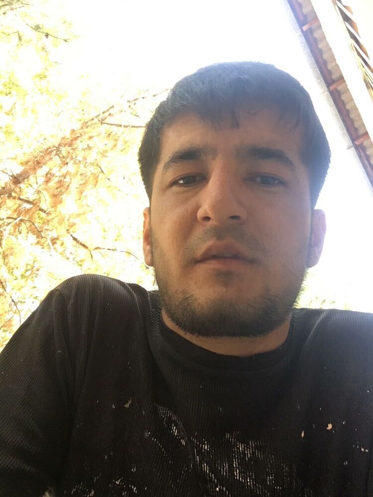  53359654  , 30 ,    