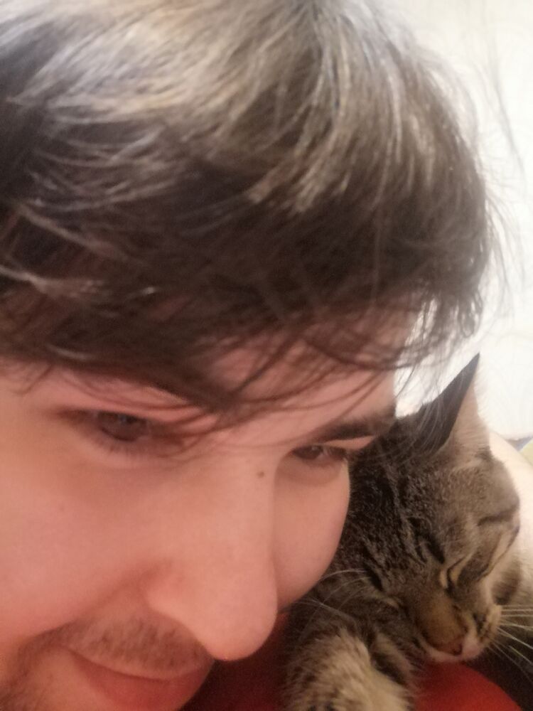 ���������� ������, ���� ������� �����, 26 ���, ������������ ��� ������, ����� � ���������, c�������� ���������, ���������