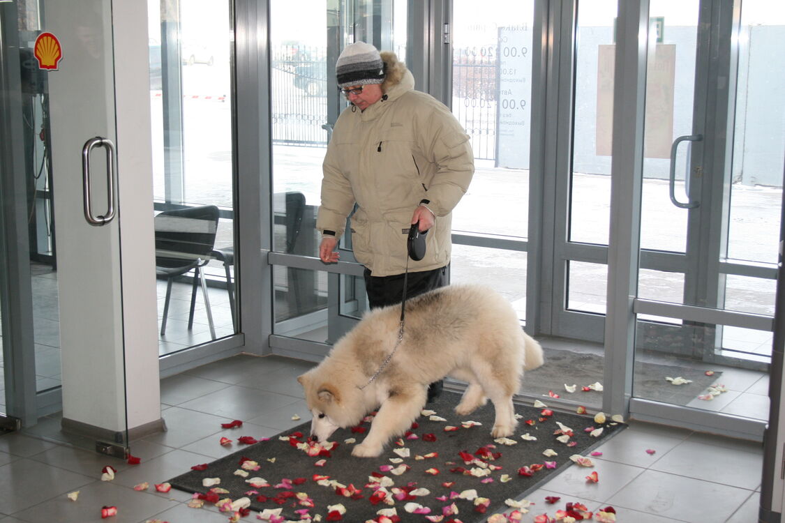 ���������� ��������, ���� ������� ������, 57 ���, ������������ ��� ������, ����� � ���������, c�������� ���������