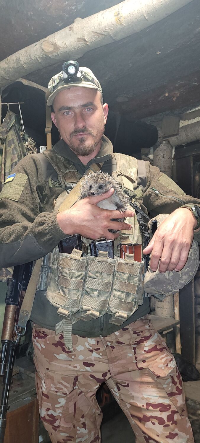 ���� 37875664 ������� �����, 38 ���, ���� ���������� � �����