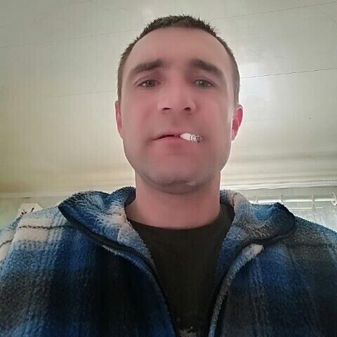  21895244  , 41 ,    