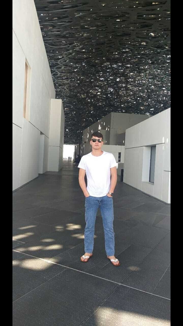  24586804  , 28 ,    