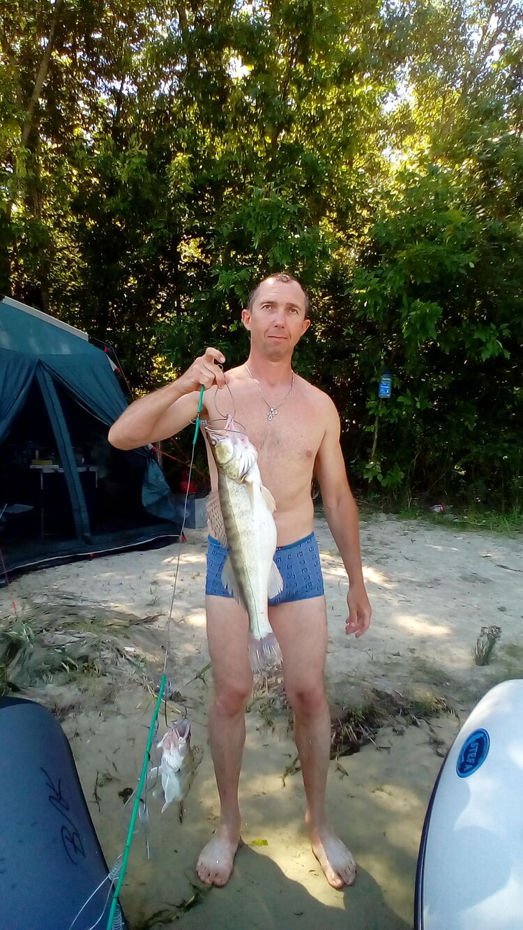 ���� 26476204 ������� ������, 50 ���, ���� ���������� � �������-��-����