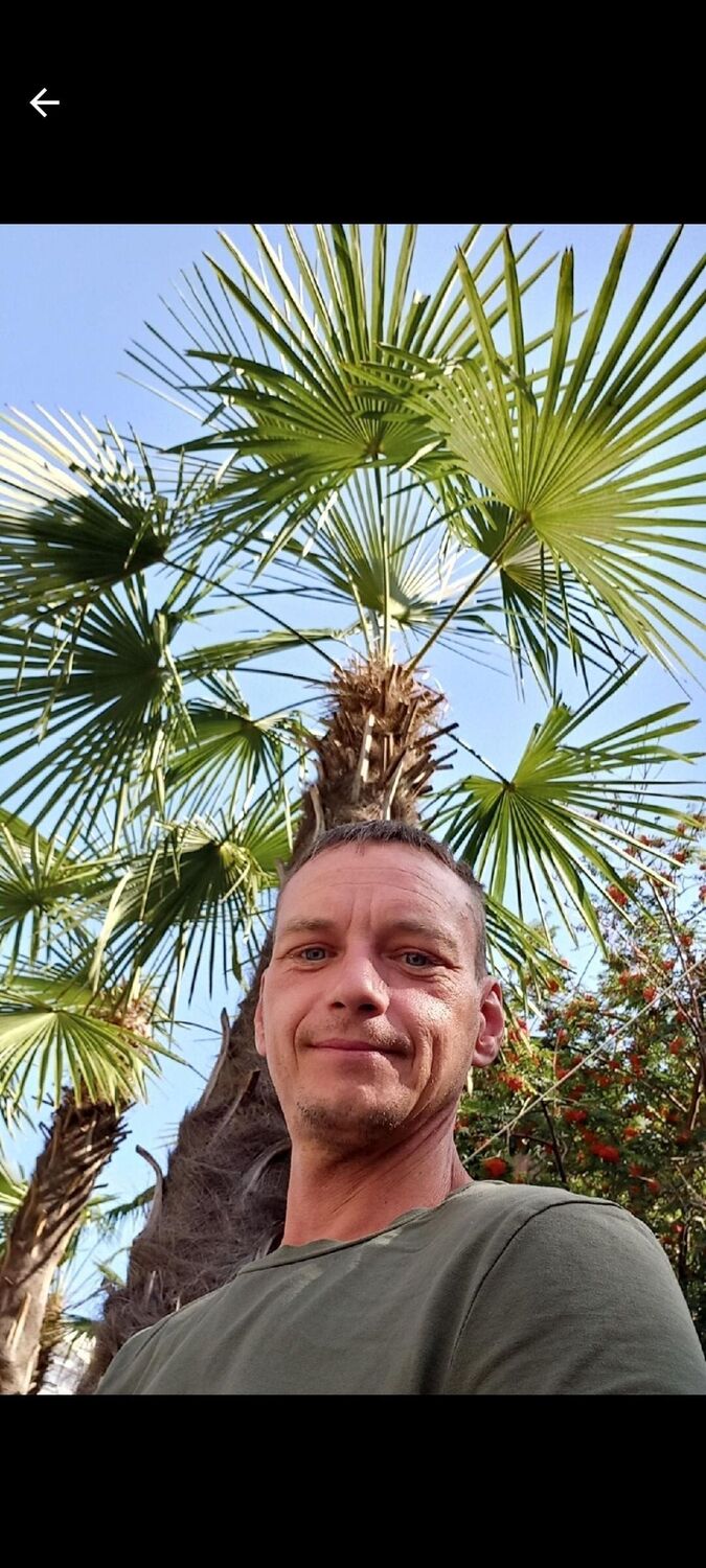 ���������� ����������, ���� ������� �������, 43 ����, ������������ ��� c�������� ���������