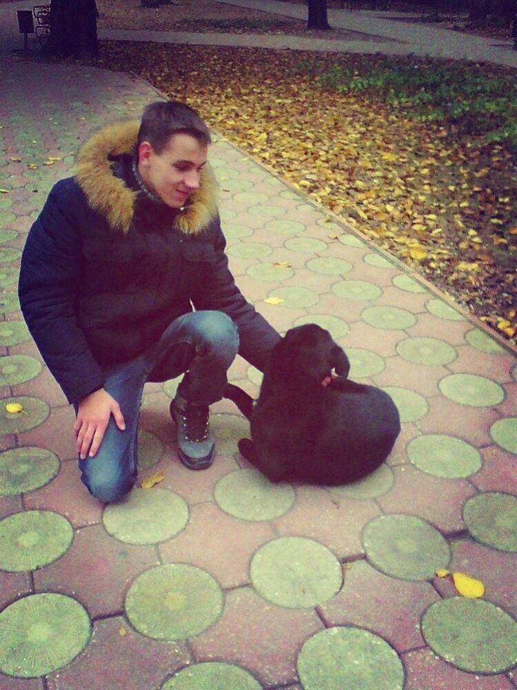  ,   , 28 ,   