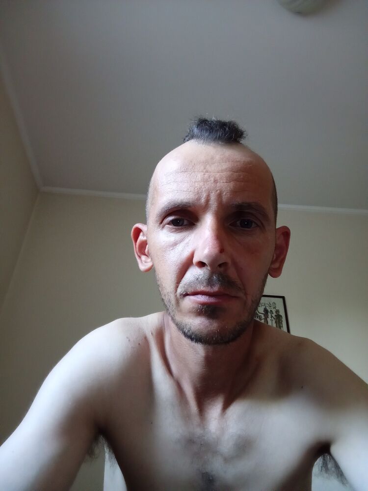  44027964  , 40 ,    -