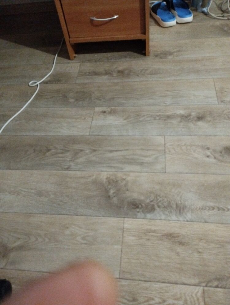 ���� 40932784 ������� ������, 57 ���, ���� ���������� � ������