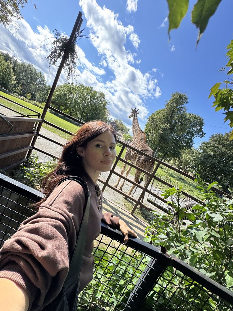 ���������� ������, ���� ������� ��������, 33 ����, ������������ ��� ������, ����� � ���������