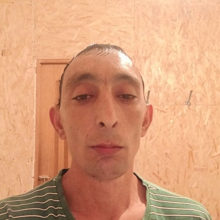  47241684  , 37 ,    