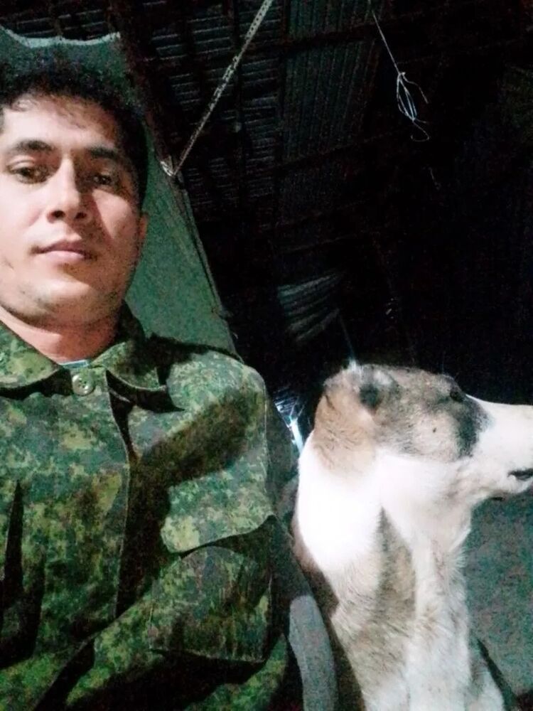 ���� 47166974 ������� �����, 30 ���, ���� ���������� � ������