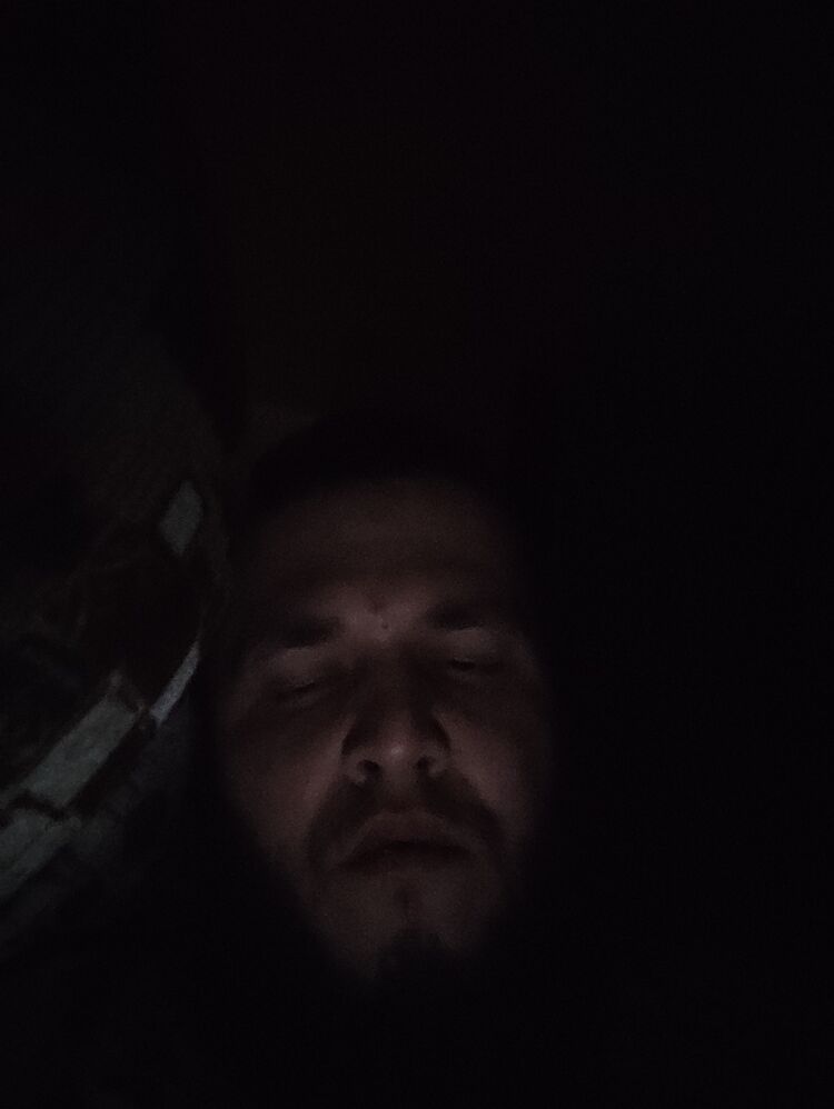  41329044  , 31 ,    