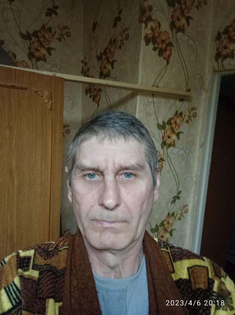  33668944  , 51 ,    