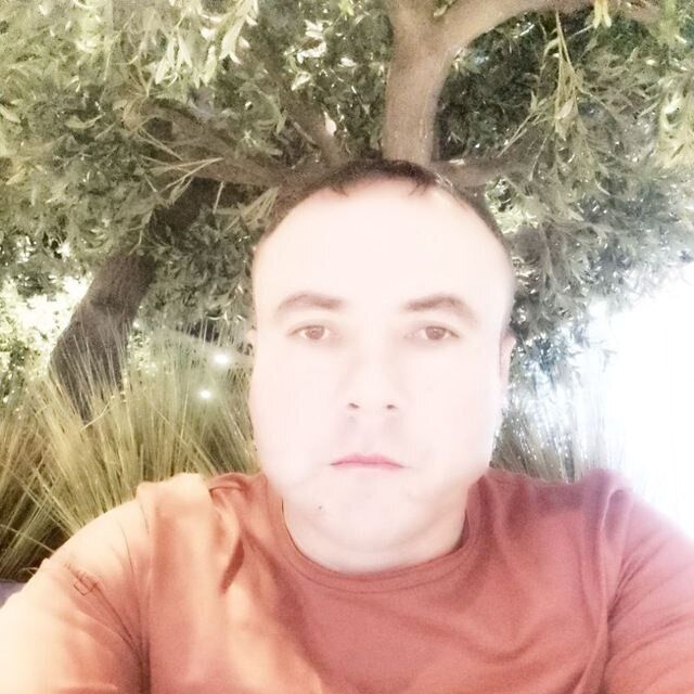  34373924  , 39 ,    