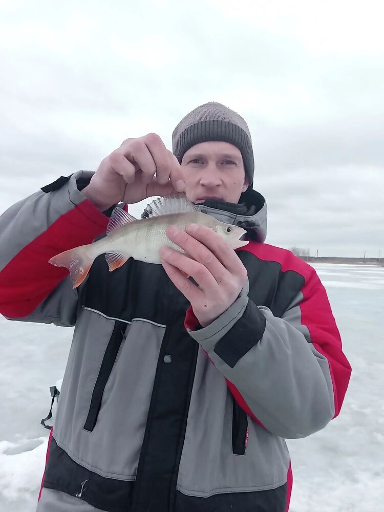 ���������� ������, ���� ������� ����, 43 ����, ������������ ��� ������, ����� � ���������, c�������� ���������, ���������