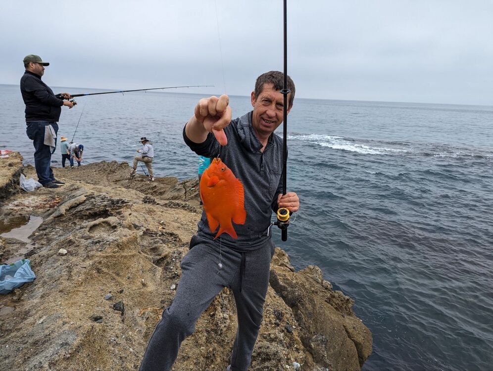 ���� 56137234 ������� �������, 54 ����, ���� ���������� � ����������