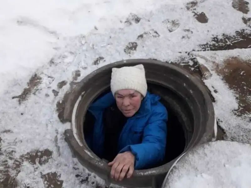 ���� 55636604 ������� ������, 44 ����, ���� ���������� � ������������