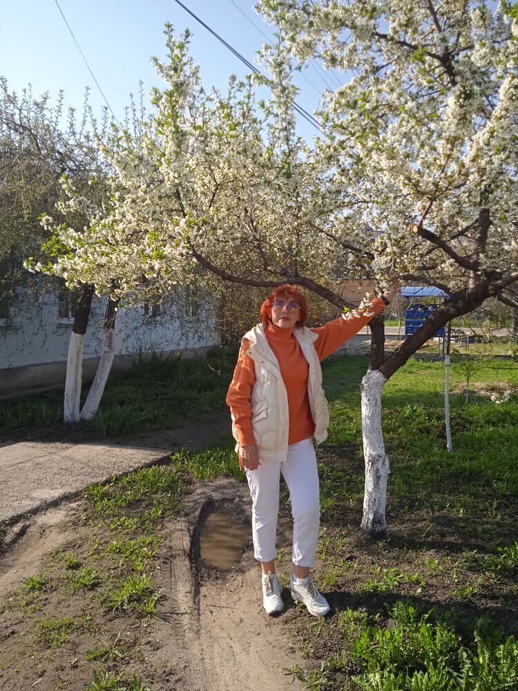  ,   , 66 ,   c 