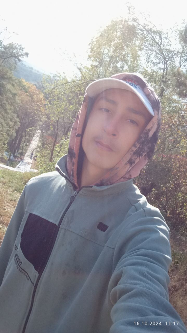  48265204  , 20 ,    