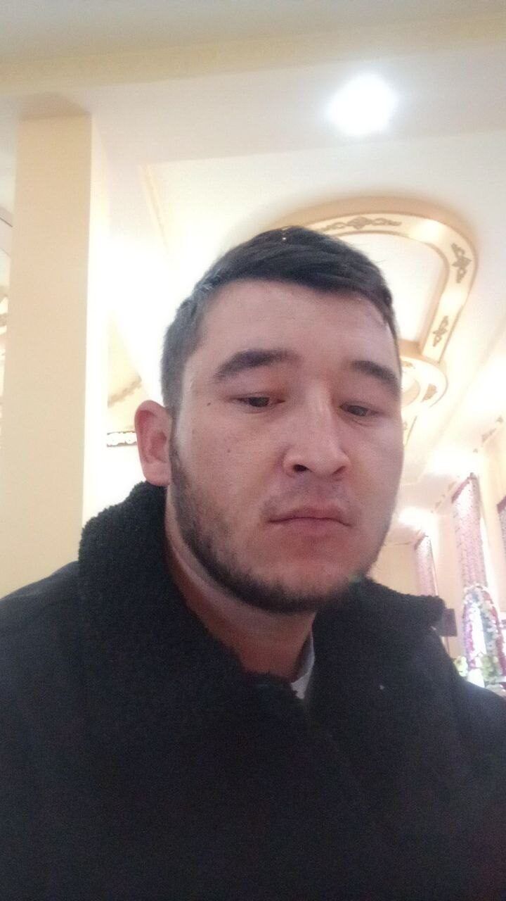  42317894  , 28 ,    