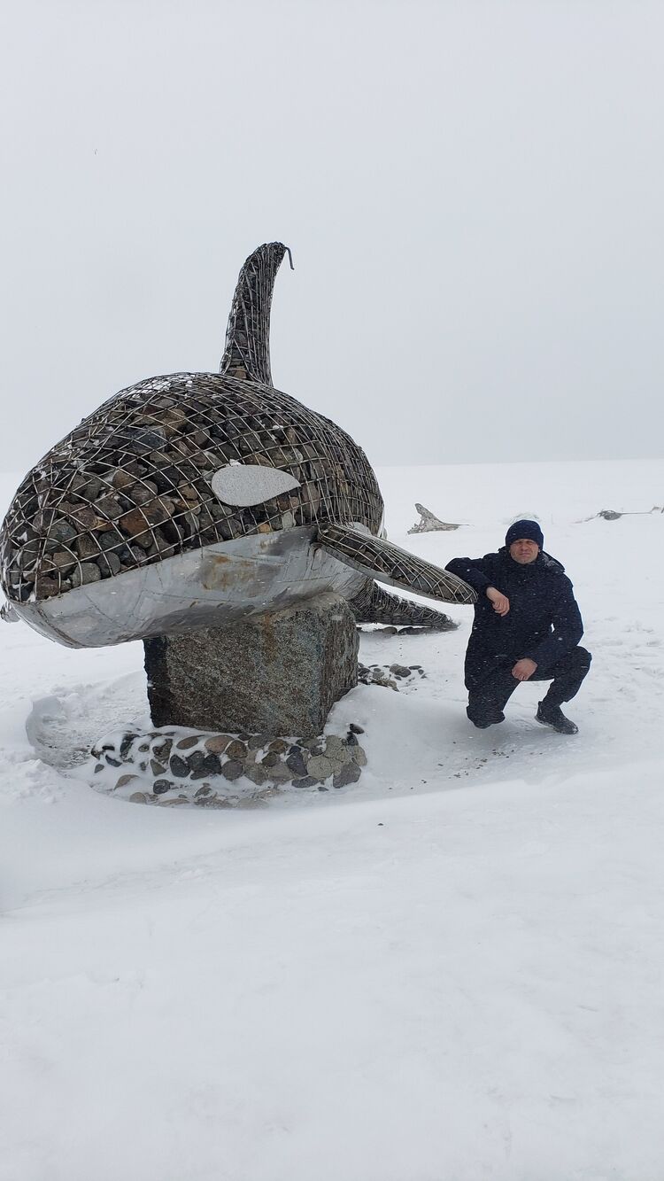 ���� 34279884 ������� ����, 38 ���, ���� ���������� � ��������