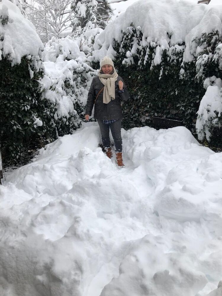 ���� 55186514 ������� �����, 56 ���, ���� ���������� � �������