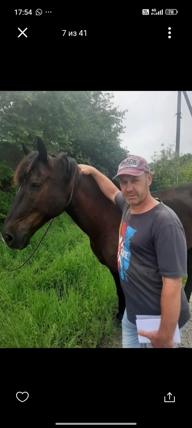 ���������� ���������, ���� ������� ���������, 51 ���, ������������ ��� c�������� ���������