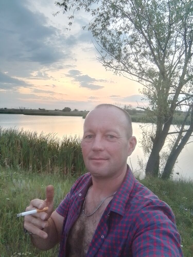  54582814  Pioneer, 43 ,    