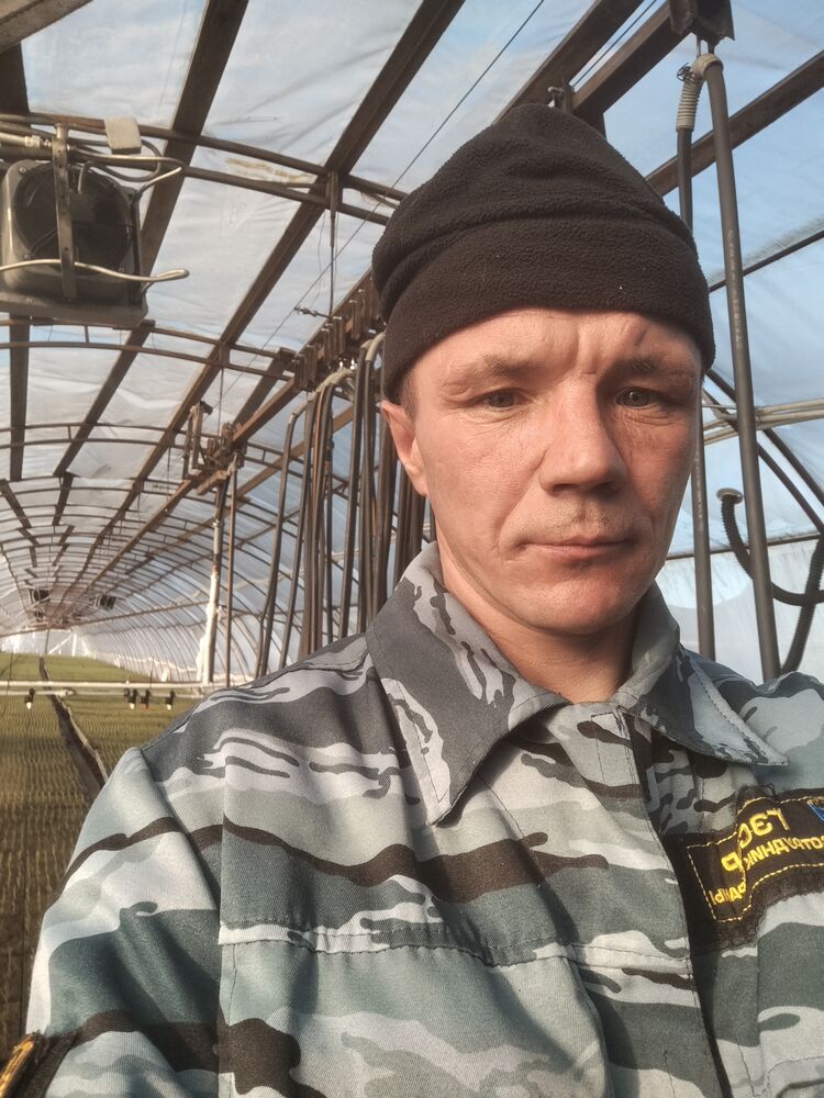 ���� 54846144 ������� �������, 37 ���, ���� ���������� � ��������