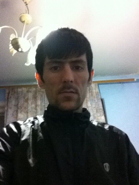 ���� 8295054 ������� �����, 36 ���, ���� ���������� � �����-����������