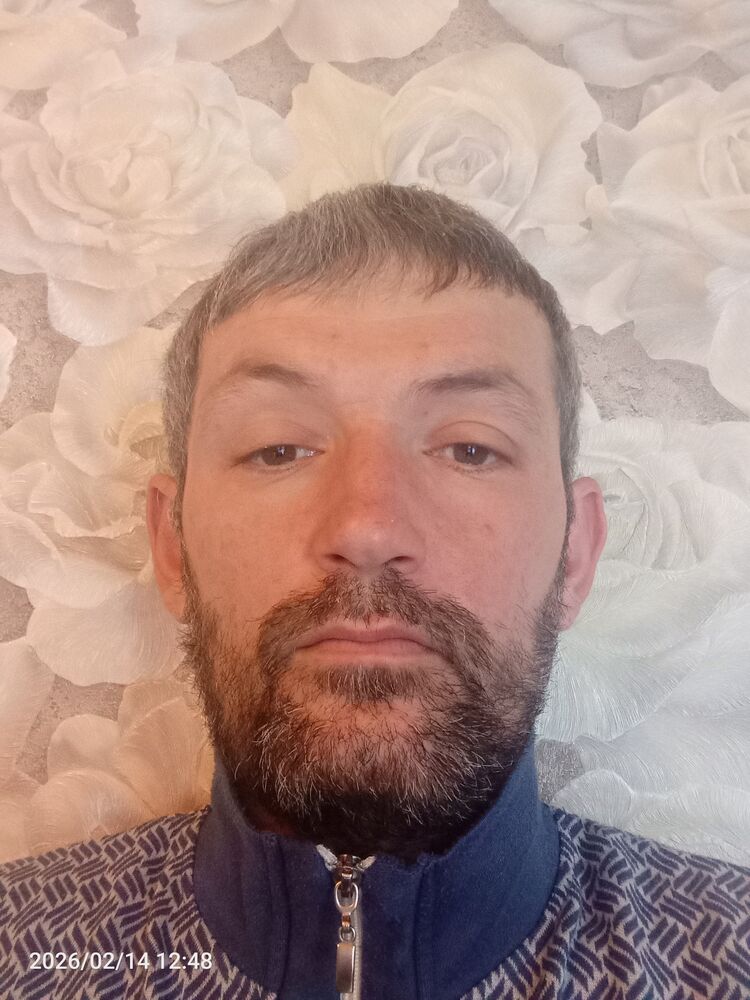 ���� 55847604 ������� ������, 33 ����, ���� ���������� � ��������