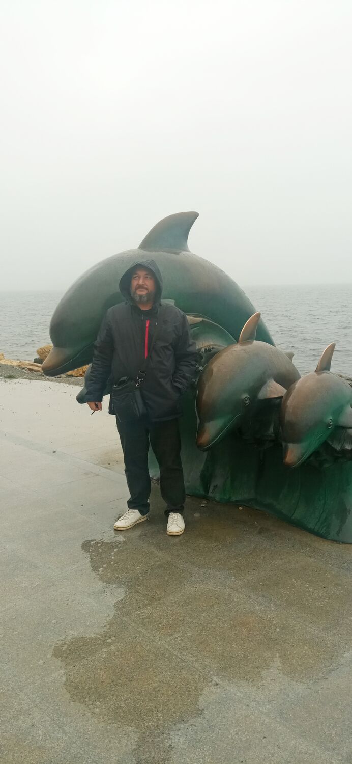 ���� 36266104 ������� ������, 49 ���, ���� ���������� � ����������