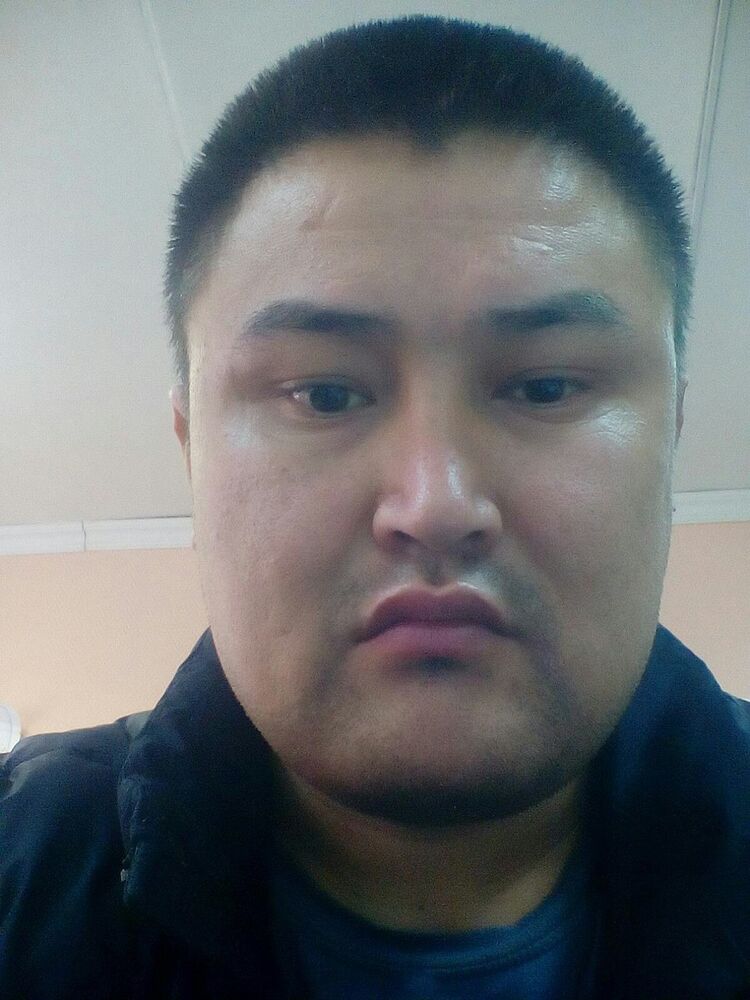 ���� 8027994 ������� Bek, 36 ���, ���� ���������� � ������