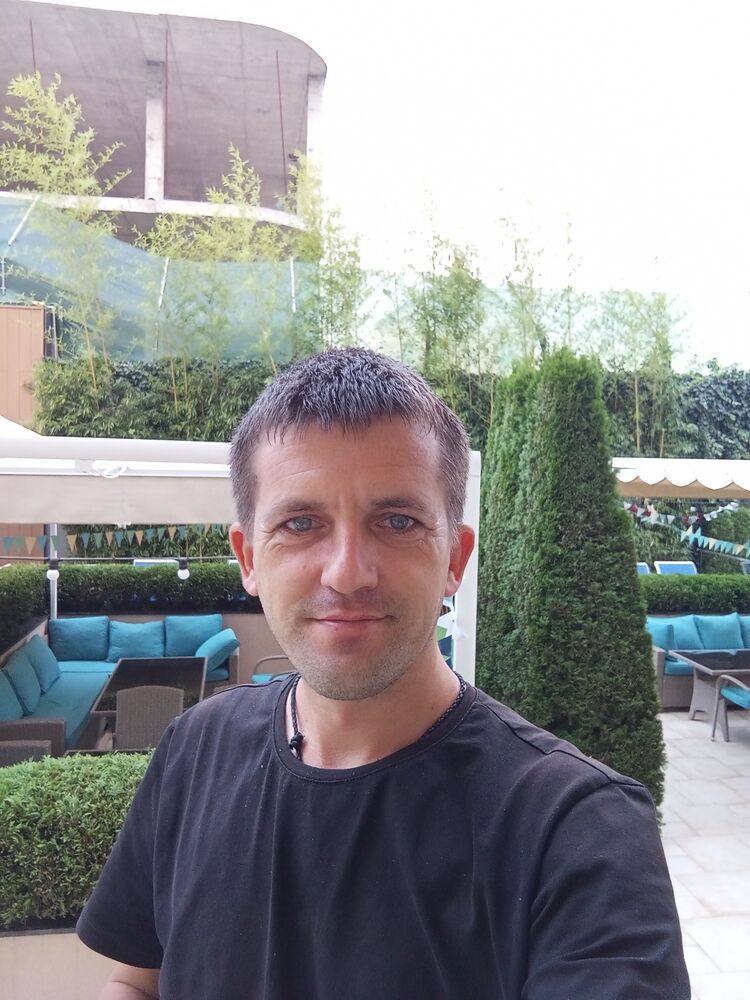  45838504   , 31 ,    