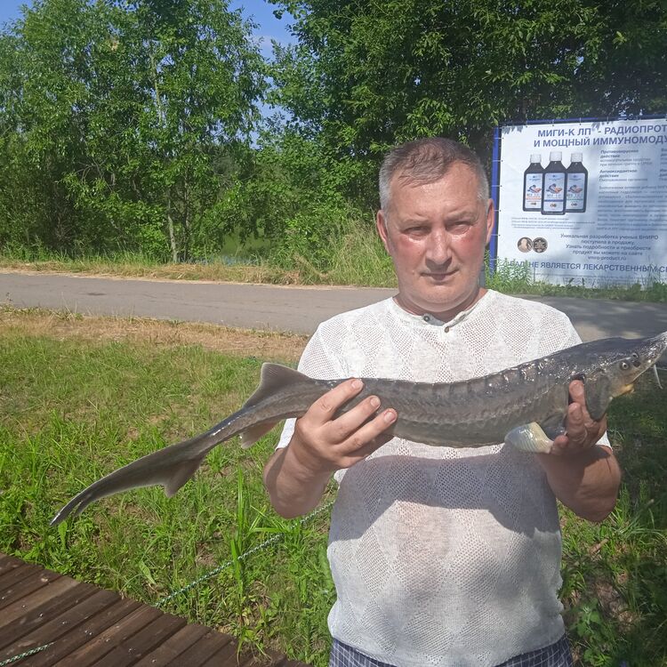 ���� 28259874 ������� �����, 56 ���, ���� ���������� � ������