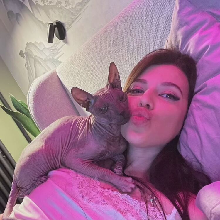  ,   , 26 ,     , c 