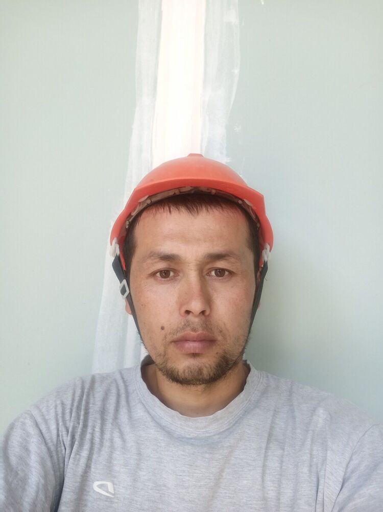  20329354  , 38 ,    -