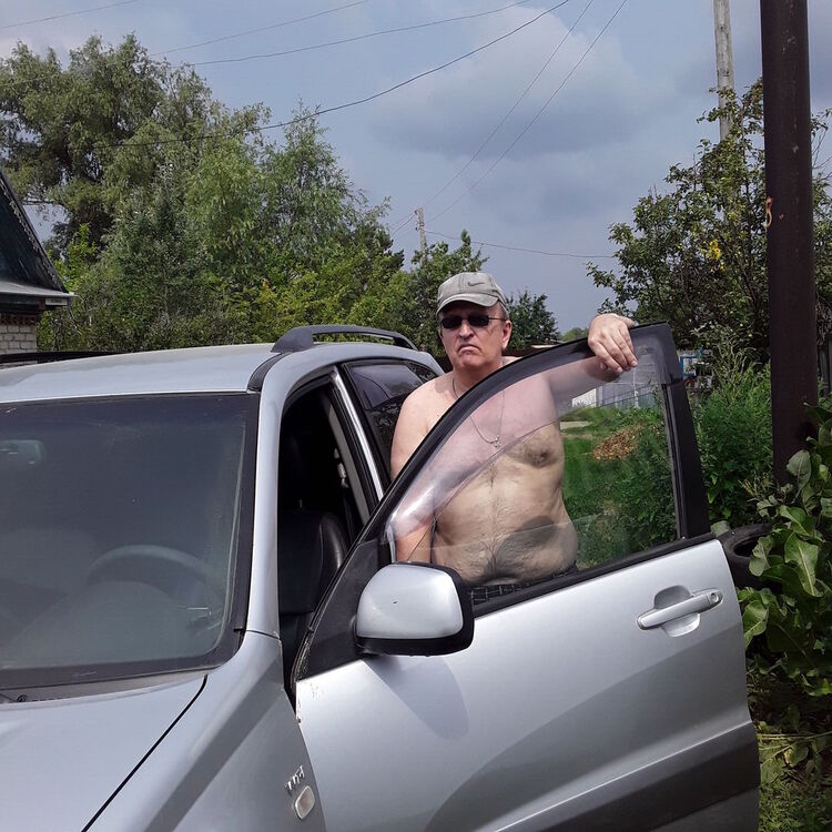  33700934  , 65 ,    