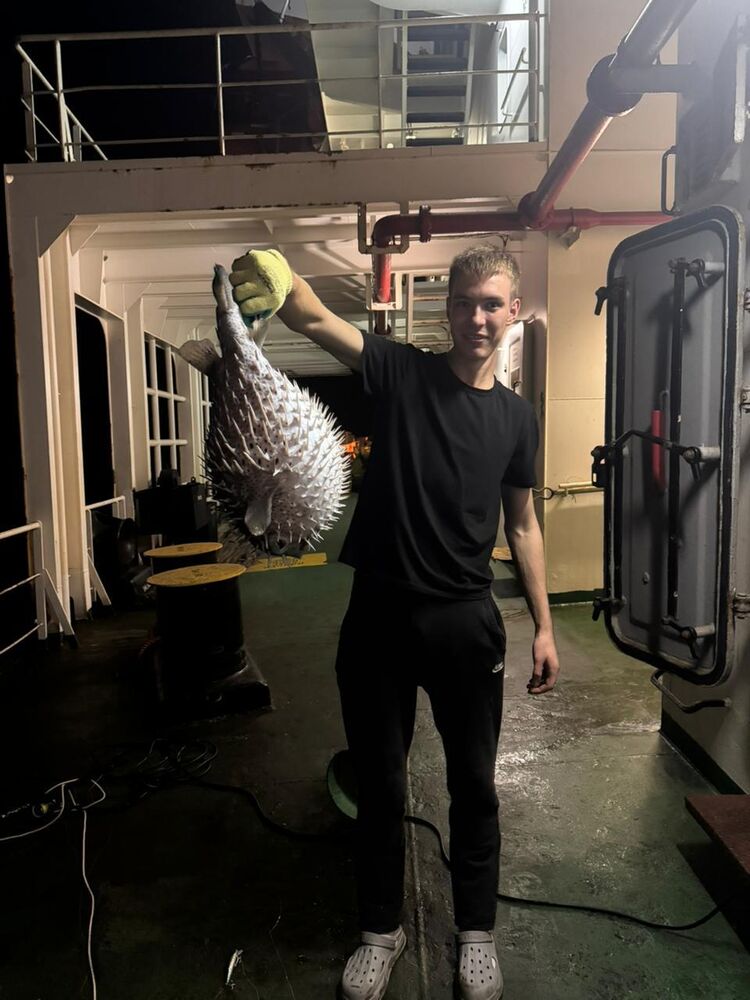 ���� 56197524 ����� ����, 20 ���, ���� ���������� � ������������