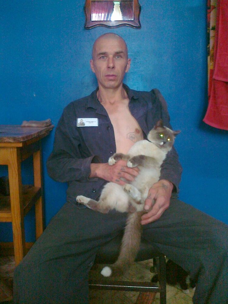  ,   , 51 ,   ,   , c , 
