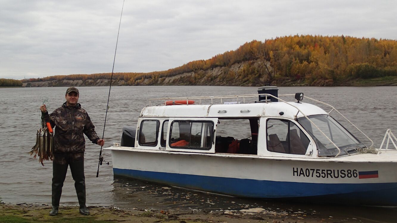 ���� 55341614 ������� �������, 47 ���, ���� ���������� � ��������������