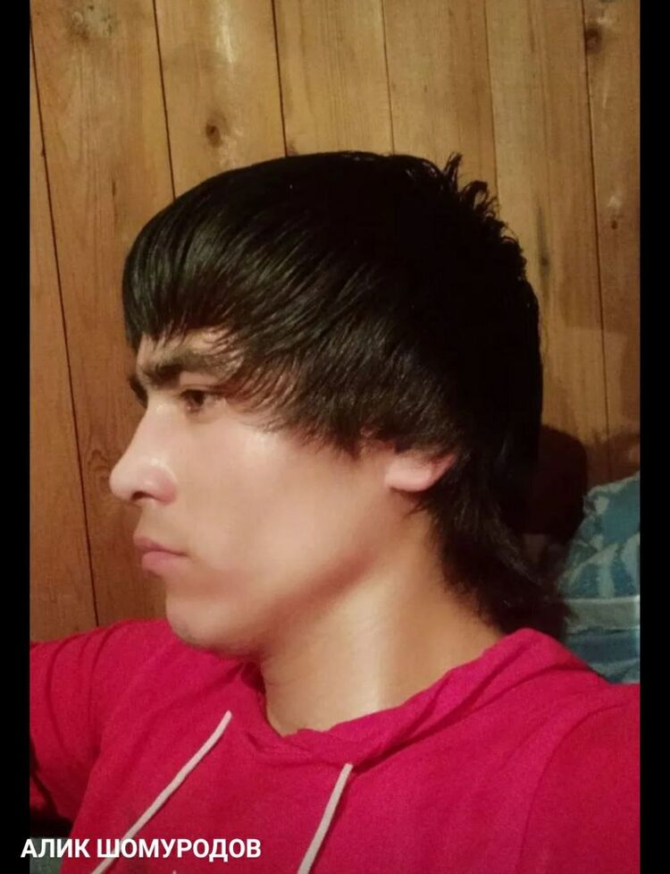  29834384  , 26 ,    -