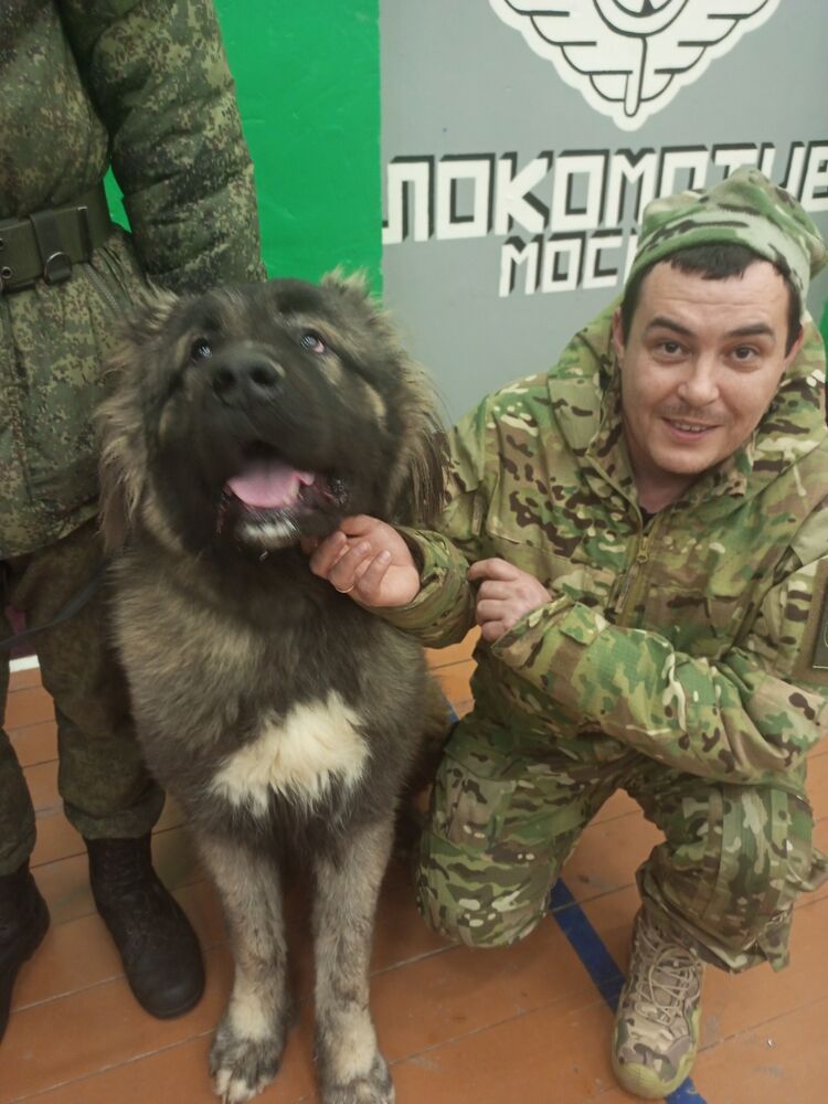 ���� 54828054 ������� ������, 39 ���, ���� ���������� � ������