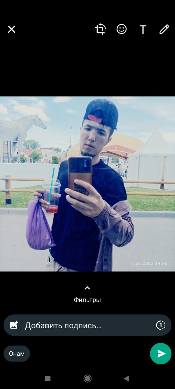  29283114  , 28 ,    -