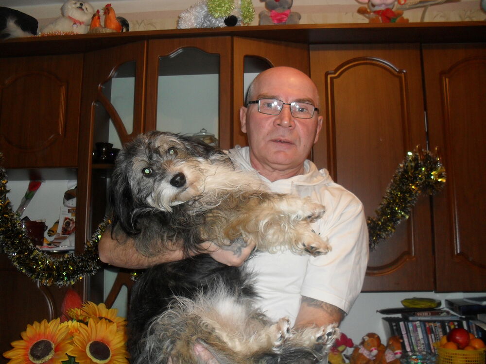 ���� 25505924 ������� Kenn13, 64 ����, ���� ���������� � �������������