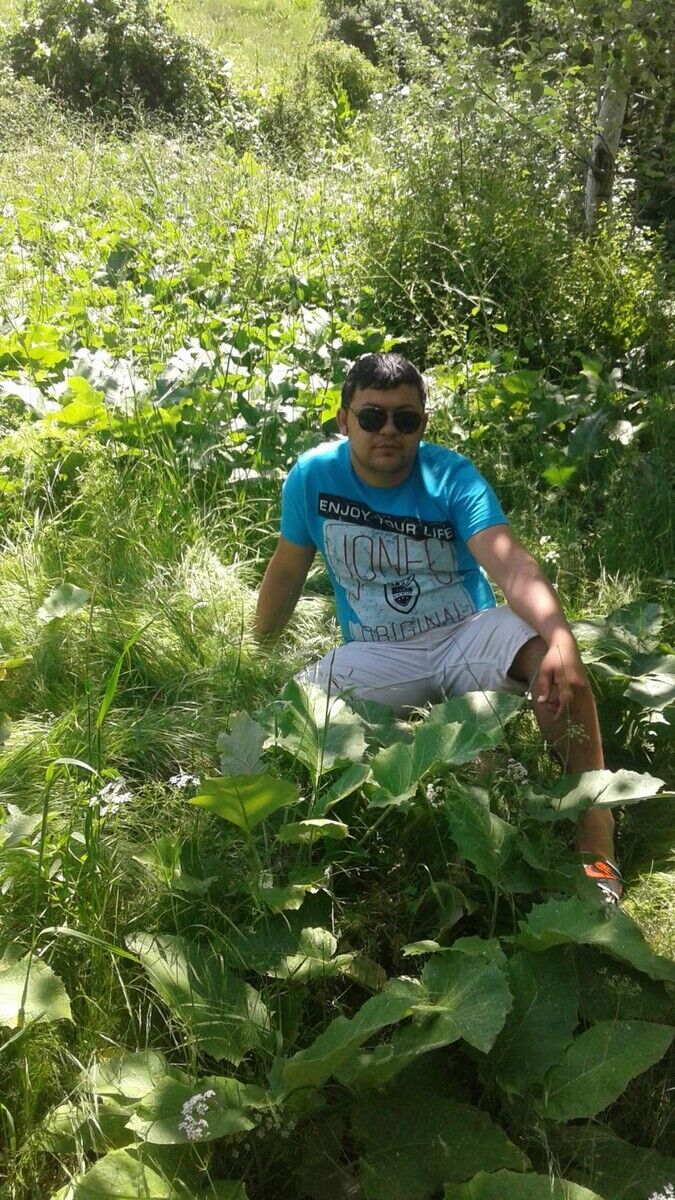 ���������� ����, ���� ������� ����, 38 ���, ������������ ��� ������, ����� � ���������, c�������� ���������