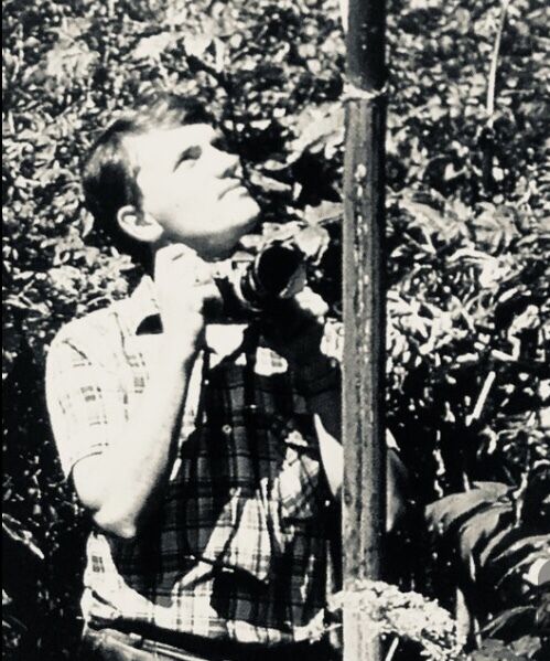 ���������� ������, ���� ������� ����S, 38 ���, ������������ ��� ������, ����� � ���������, ���������