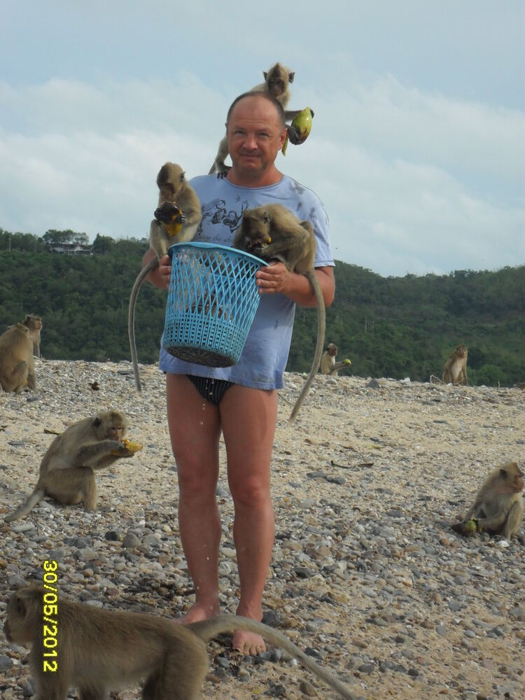 ���� 4279654 ������� ������, 52 ����, ���� ���������� � ��������