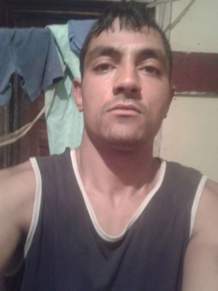  46598164  , 29 ,    